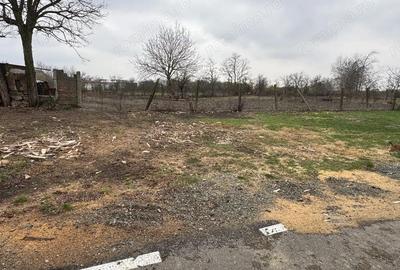 Teren Intravilan Becicherecu Mic 598mp,Utilitatile In Fata Parcelei,Asflat - 4