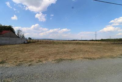 Teren de 400 mp, în Vest