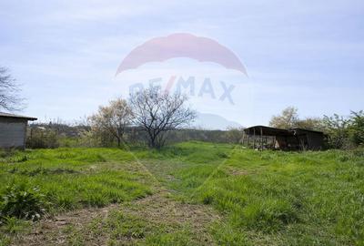 Teren Construcții intravilan de 2098 mp, în Lumina - 2