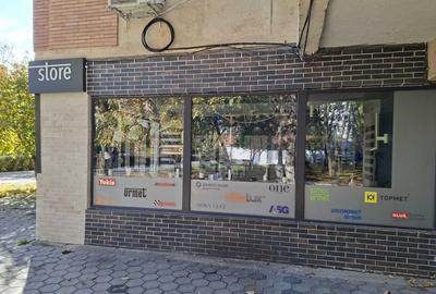 INCHIRIERE-SPATIU COMERCIAL-NICOLINA - 5