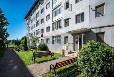 Apartament luminos, 2 camere, renovat, Parter Breaza - 15
