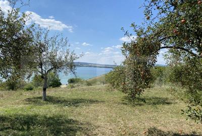 Teren extravilan in apropierea lacului Varsolt in suparfata - 6