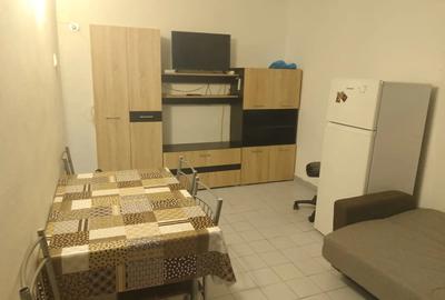 Inchiriez garsoniera zona Micalaca parc Orizont - 1