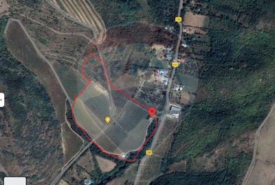 Oportunitate de investitie - Teren de vanzare I 4 ha I ce... - 3