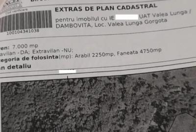 Teren de 7000 mp, în Ștubeie Tisa - 7