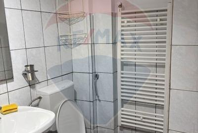 Apartament cu 2 camere, mobilat în Gruia - 14
