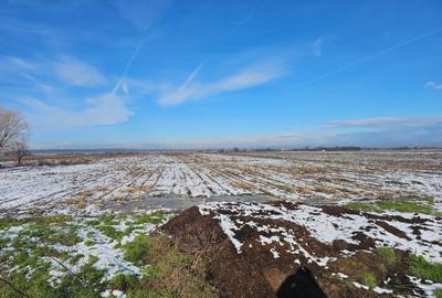 Teren agricol extravilan de 10900 mp, în Băleni-Sârbi - 1