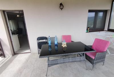Casa D+P+1 din 2017, Bistrita, Com. Alex. cel Bun Neamt - 10