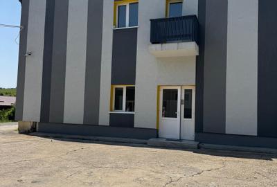 Hală industrială de închiriat – 680 mp utili/nivel, zonă Valea Seacă