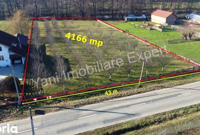 Teren de 4166 mp, în Corbi - 7