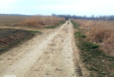 Teren de 15000 mp, în Gura Ocniței - 2