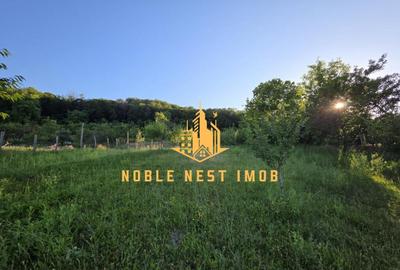 Casa spa?ioasa Mice?ti, Arge?, teren generos 2.500 - 12