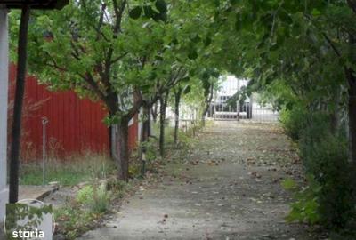 Casă cu 3 camere cu Canalizare în Izvorani - 10