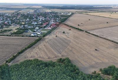 Teren Construcții intravilan de 40300 mp, în Tamași - 3