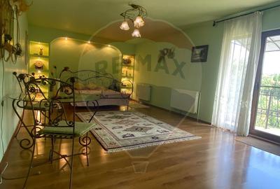 DE VANZARE Vila de vacanta in Pucioasa /Dambovita - 29