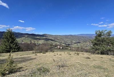 Teren de 23000 mp, în Sohodol - 4