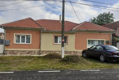 Vind casa in Bazosu Nou - 10