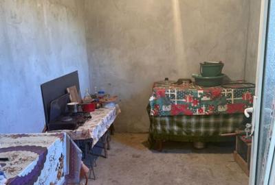 Casa 133 mp utili, 3300 mp teren, Ciutura - 2