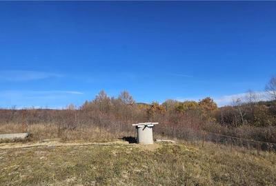 Rezidenta noua, oportunitate personalizare, peste 1.500mp, P - 5