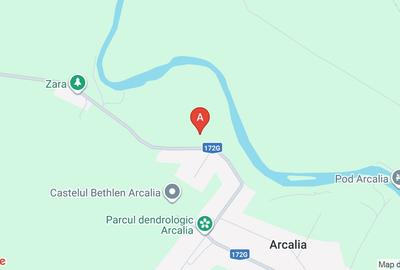 Puccio Ariana - 1