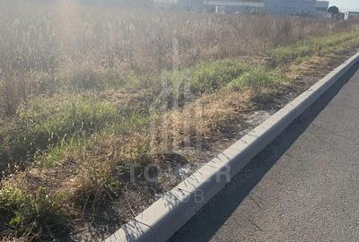 TEREN INTRAVILAN - ZONA INDUSTRIALA VEST-9000 mp, sau 18000 mp - 1