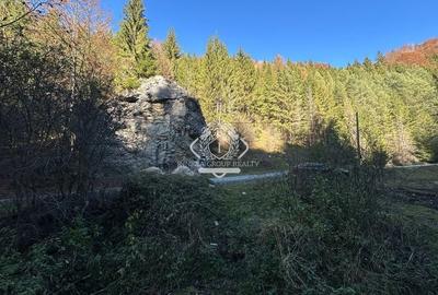 Teren 2.882 mp – oportunitate investitie - Cheile Dâmbovicioarei - 13