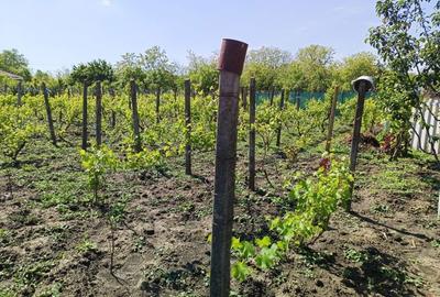 Casă cu 4 camere în Libertatea - 5