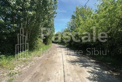 Teren generos de 10.000 mp la iesirea din localitatea Bradu, directia Fagaras - 3