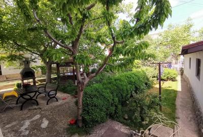 Constanta, Lazu, vila 5 camere, p+1, 360mp cu gradina deosebita - 4