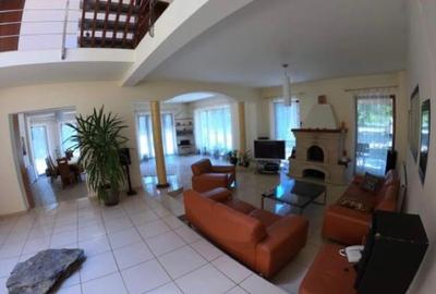 Proprietate inedita cu teren de 4400, si deschidere cu ponton pe Bega - 5