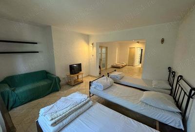 Vila de inchiriat Ploiesti-echipe muncitori 17 locuri - 1