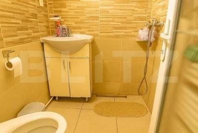 Apartament de inchiriat, cu 2 camere, curte, zona Kaufland Marasti - 5