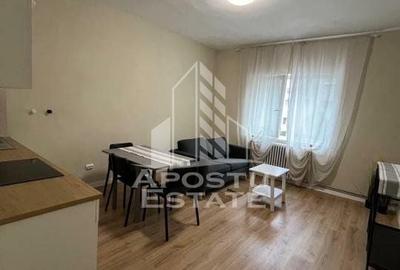 Apartament la casa 2 camere, 45 mp, parter, Girocului, petfriendly - 1