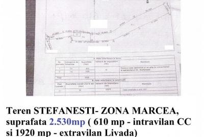 Teren STEFANESTI, diverse suprafete - 6