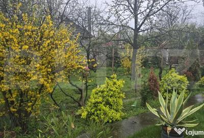 Casă cu 3 camere cu Teren 1427 Mp în Livada - 7