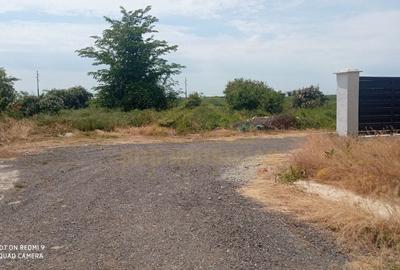 Loturi Teren Intravilan Popesti Leordeni -pod centura Loturi Teren Intravilan Popesti Leordeni -pod centura - 5