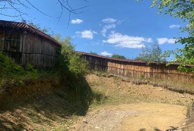 Teren de 10000 mp, în Alexandru cel Bun - 4