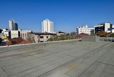 Penthouse Piata Victoriei - Calea Victoriei Penthouse Piata Victoriei - Calea Victoriei - 8