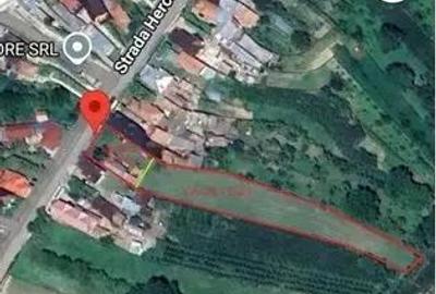 Teren în Măgureni - 3