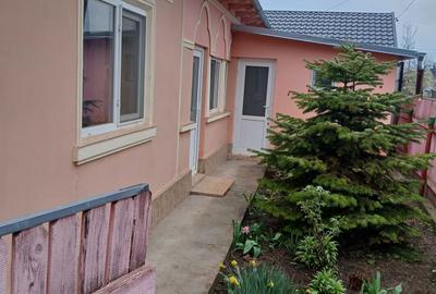 Casă cu 4 camere în Albina - 4