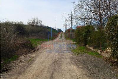 Spațiu comercial, în Frumoasa - 5