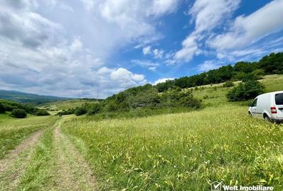 Oportunitate investitie, teren cu panorama pentru cabane - 4