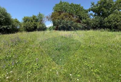 Teren Intravilan 3000 mp in Valea Mare-Pravat la Super Pret - 7