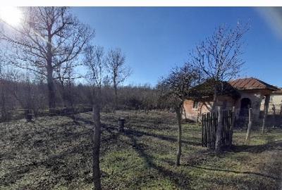 Teren 2900 m2, com. Salcuta, Jud. Dolj - 13