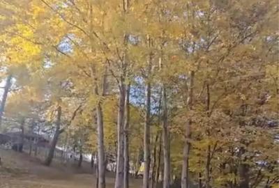 Teren de 1850 mp, în Cisnădioara