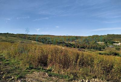 Teren Construcții intravilan de 1050 mp, în Săldăbagiu de Munte - 4