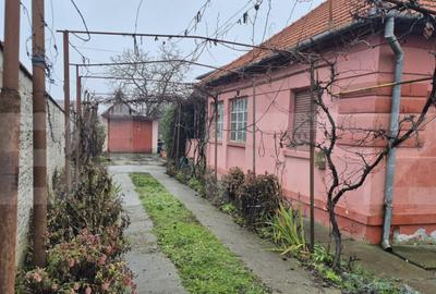 Casa 4 dormitoare, 190 mp, 1306 mp teren, zona Careiului - 2