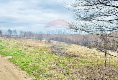 Teren Construcții intravilan de 1622 mp, în Sălicea