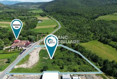 Teren agricol intravilan de 9142 mp, în Buteni - 4