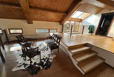 Proprietate cu piscina Dumbravita - 4